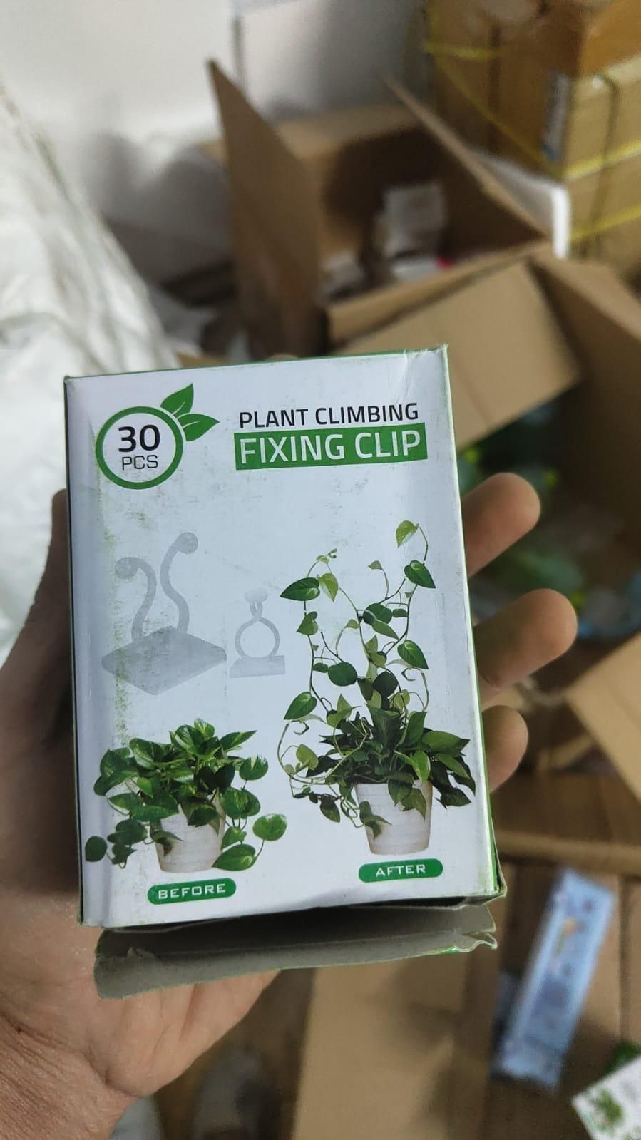 Invisible Wall Vines Fixing Clips Plant (30 Pcs)