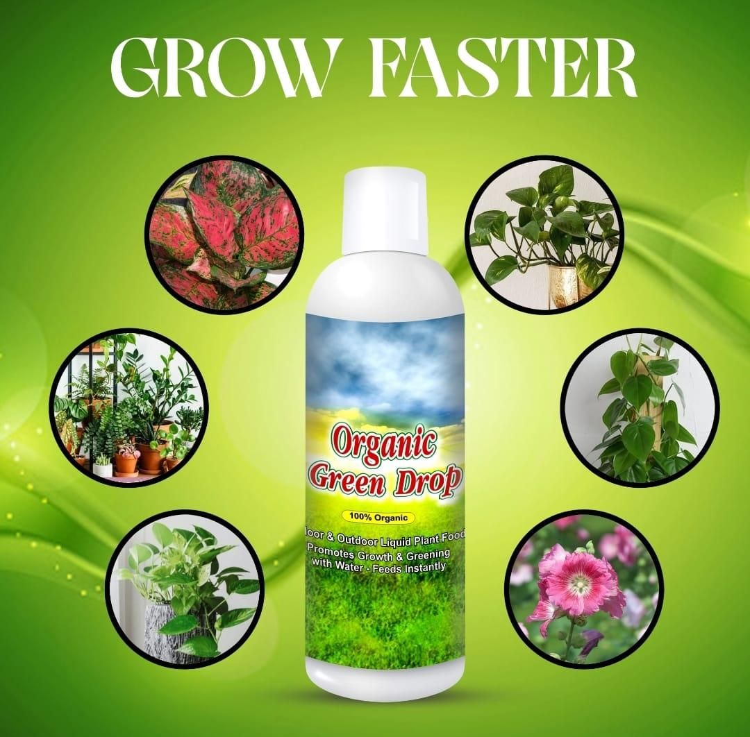 Organic GreenDrop Plant Food Liquid Fertilizer For Plant Growth & Greening Pack of 2