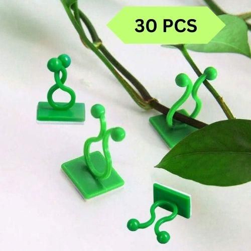 Invisible Wall Vines Fixing Clips Plant (30 Pcs)